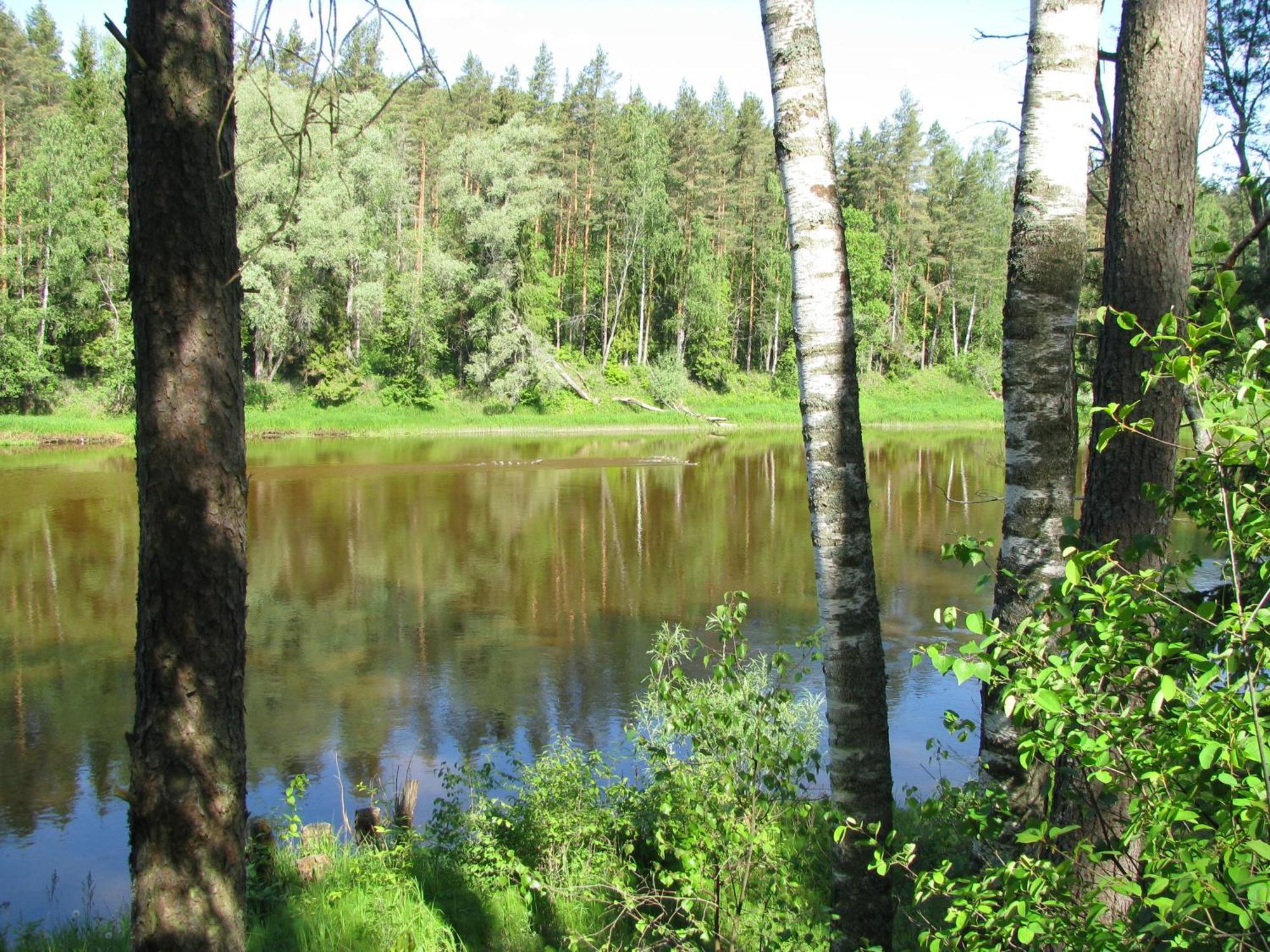 Gauja  Guest House Gaujaspriedes מראה חיצוני תמונה
